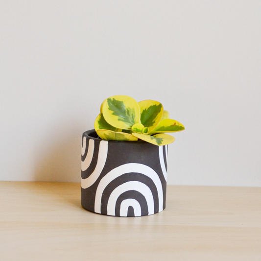 Hand-painted Charcoal Rainbow Planter