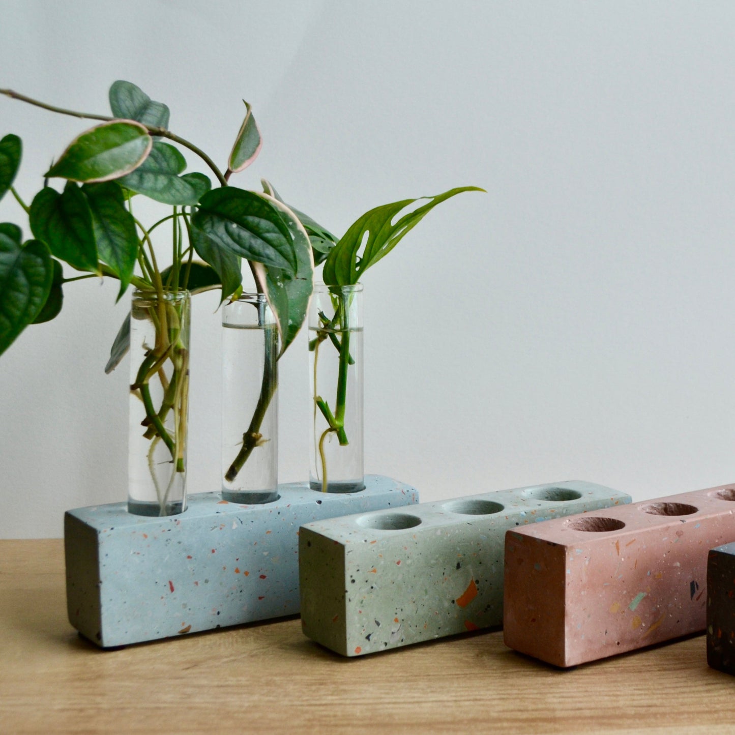 3 Test Tube Terrazzo Plant Propagation Holder