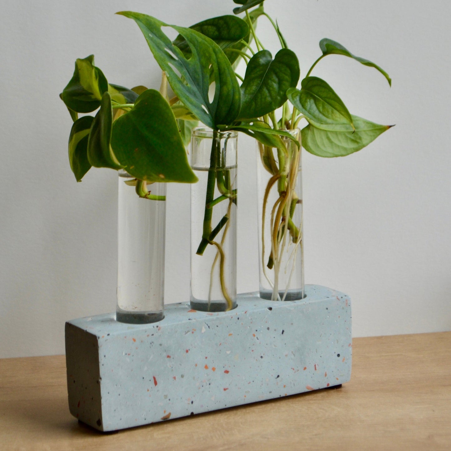 3 Test Tube Terrazzo Plant Propagation Holder