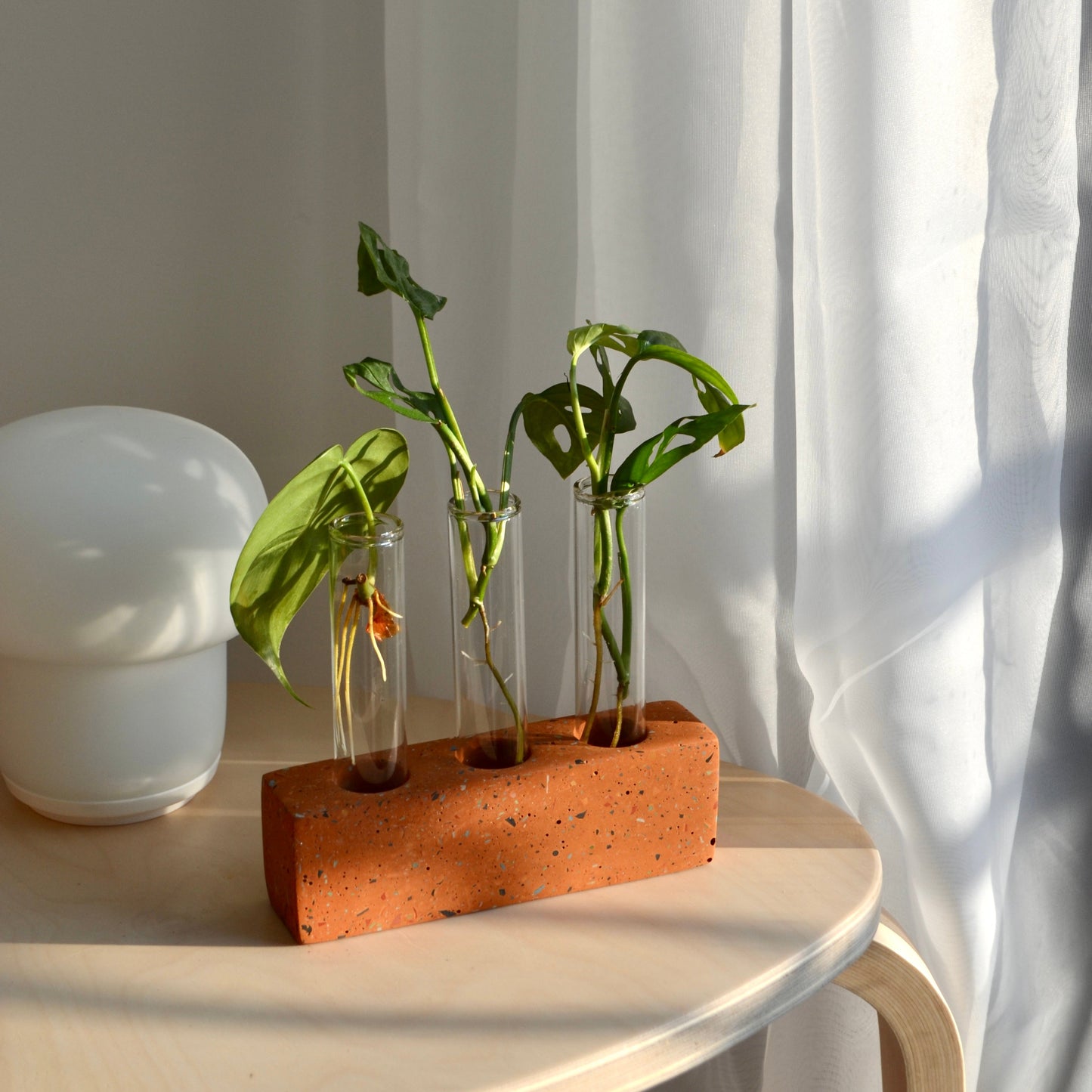 3 Test Tube Terrazzo Plant Propagation Holder