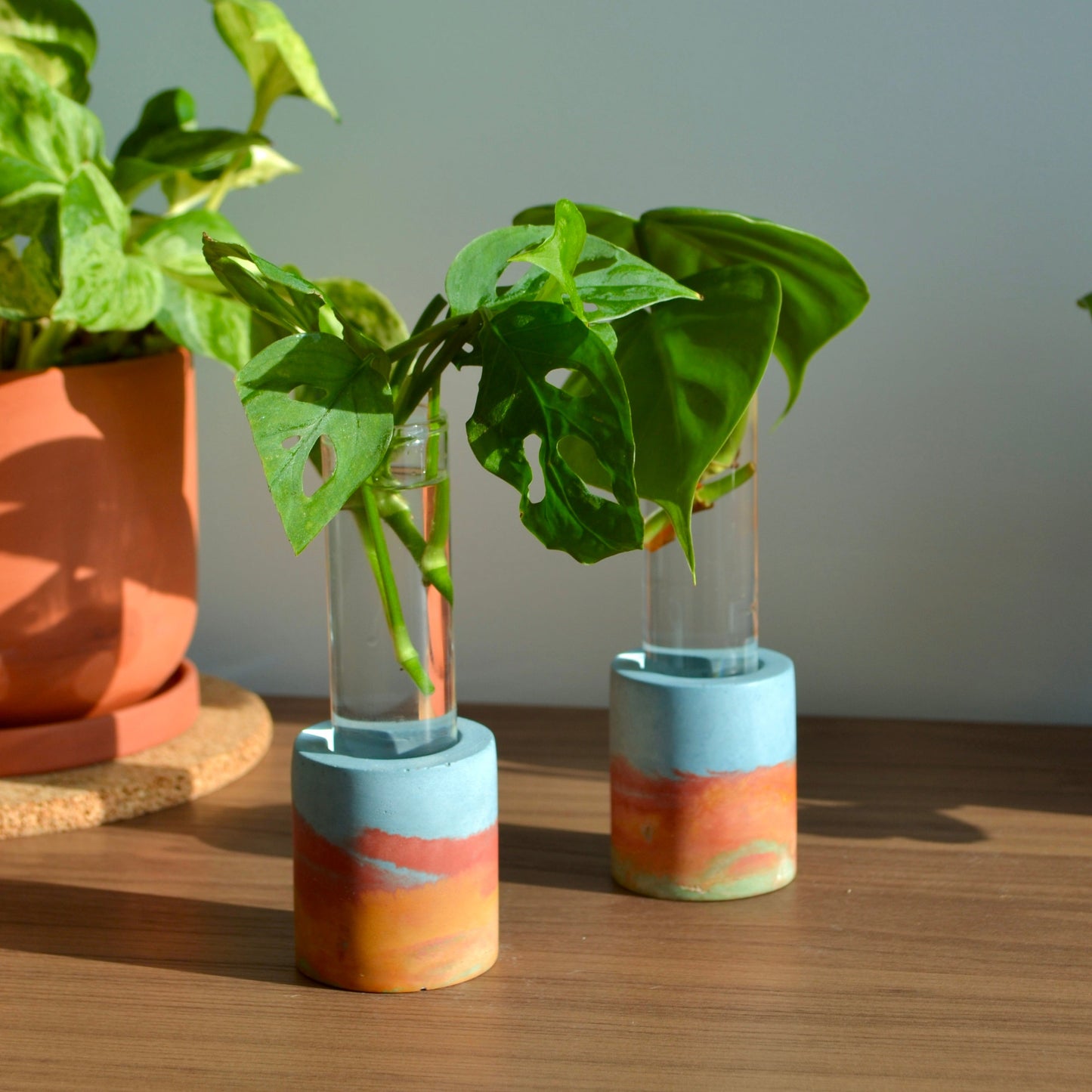 Watercolor rainbow Propagation Vase