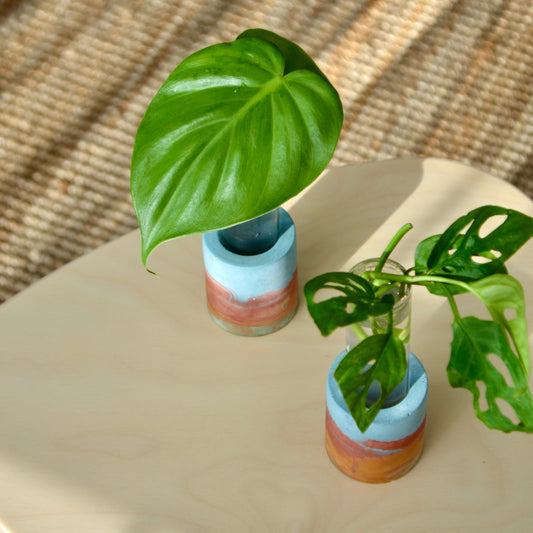 Watercolor rainbow Propagation Vase