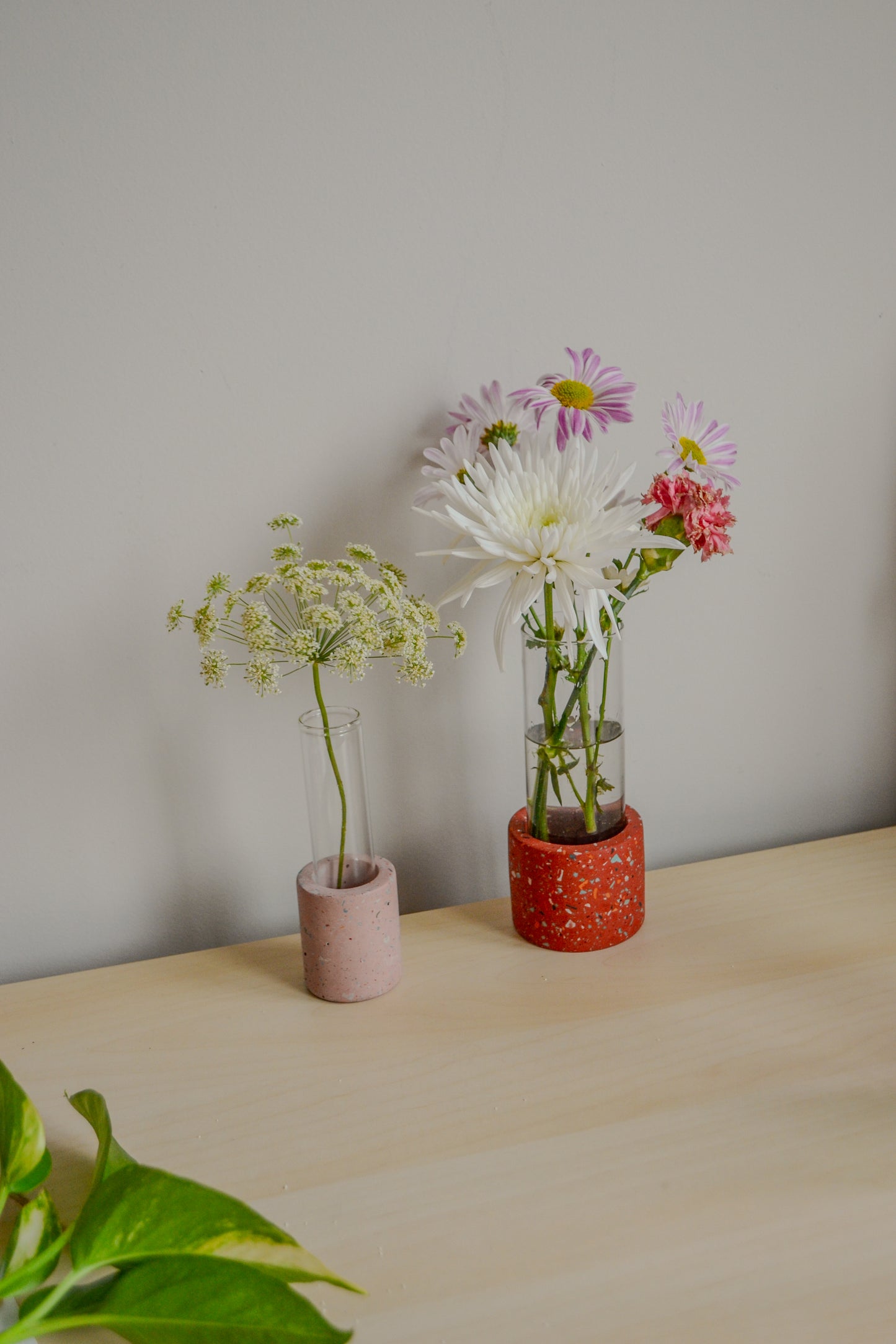 Large Zero Wate Propagation Vase