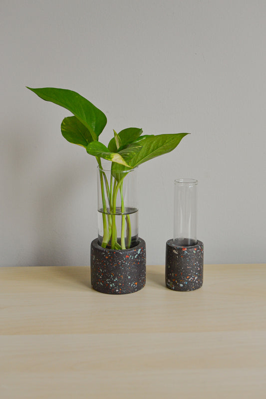 Large Zero Wate Propagation Vase