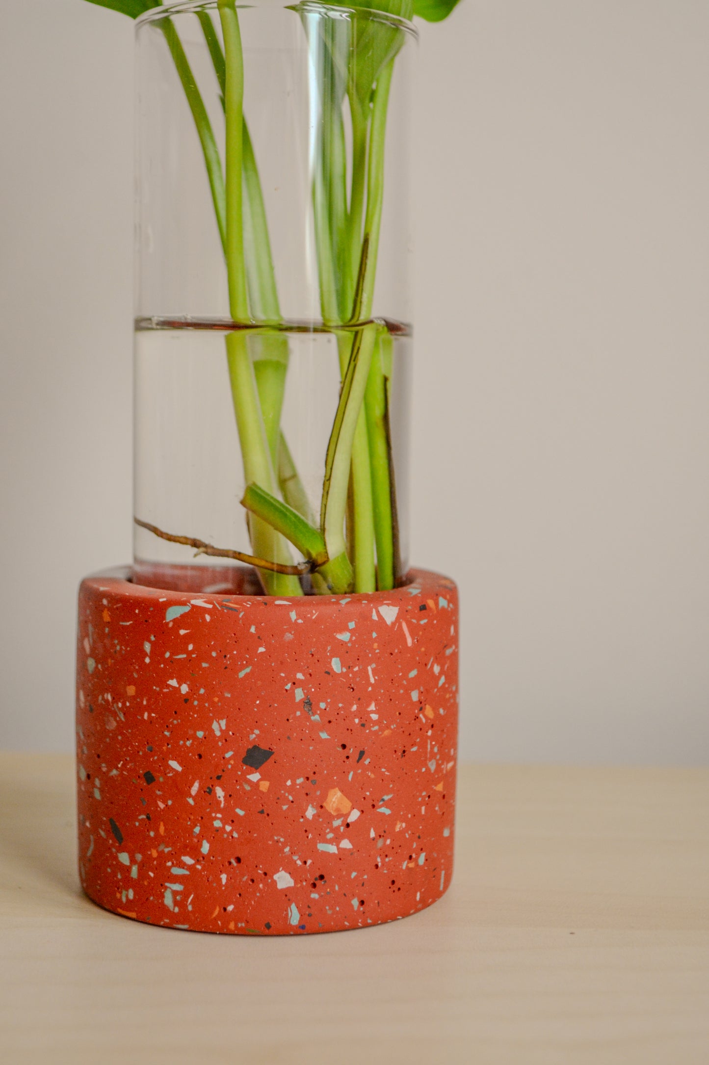 Large Zero Wate Propagation Vase