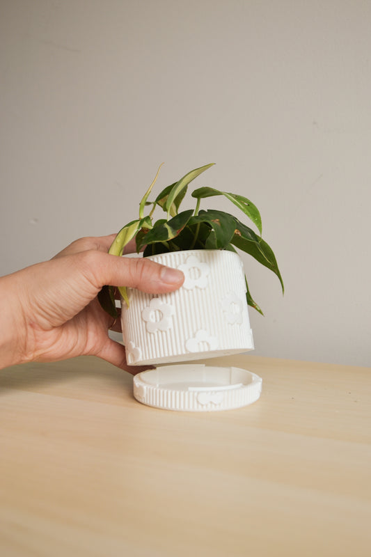 Daisy Planter with Detachable Drainage Tray