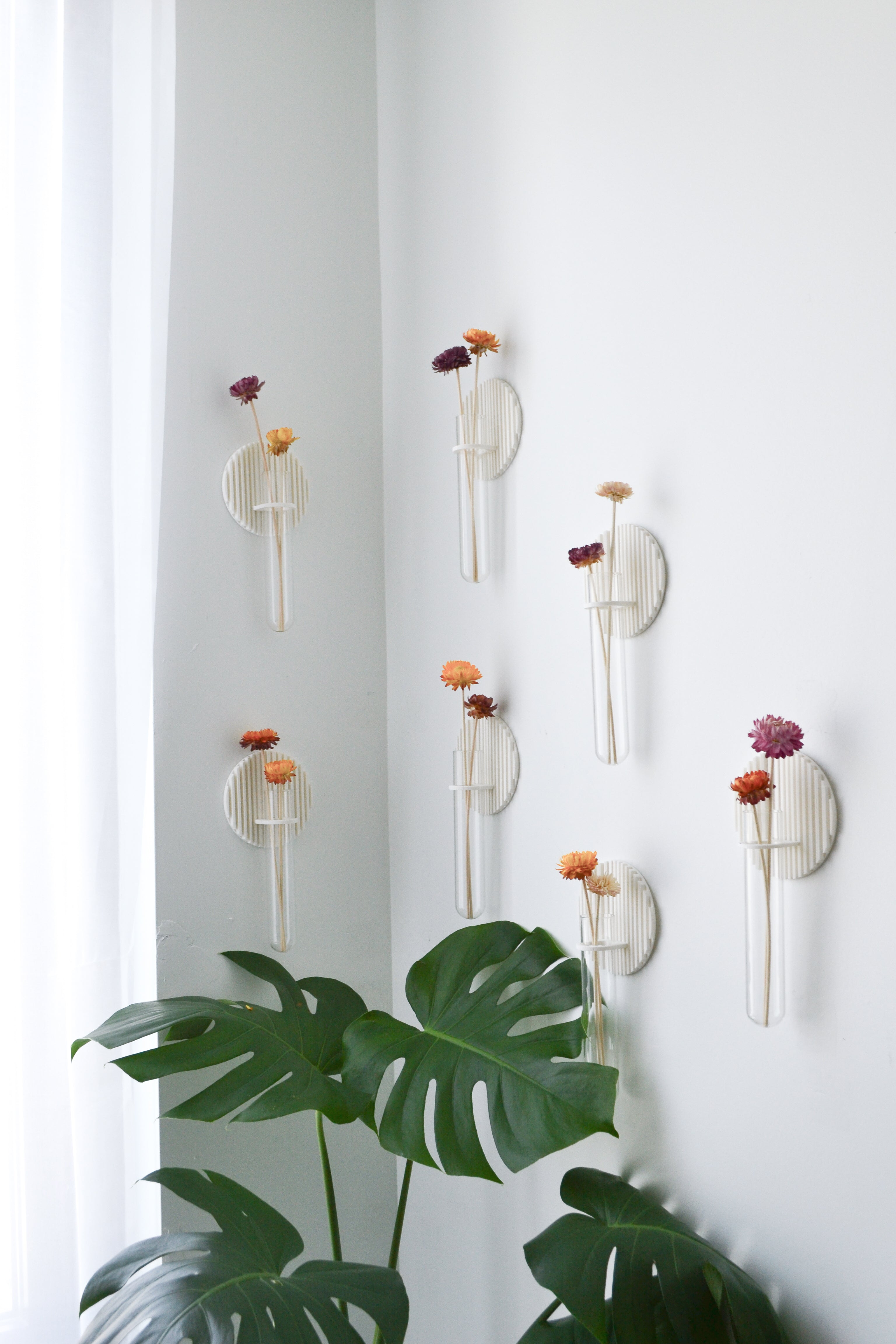 Wall of wall propagation vase