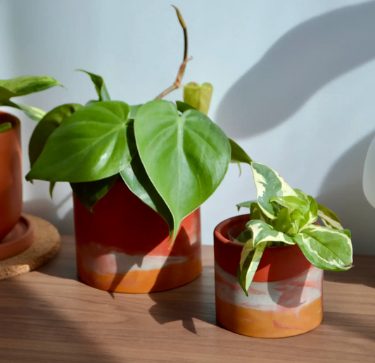 Red Watercolor Planter