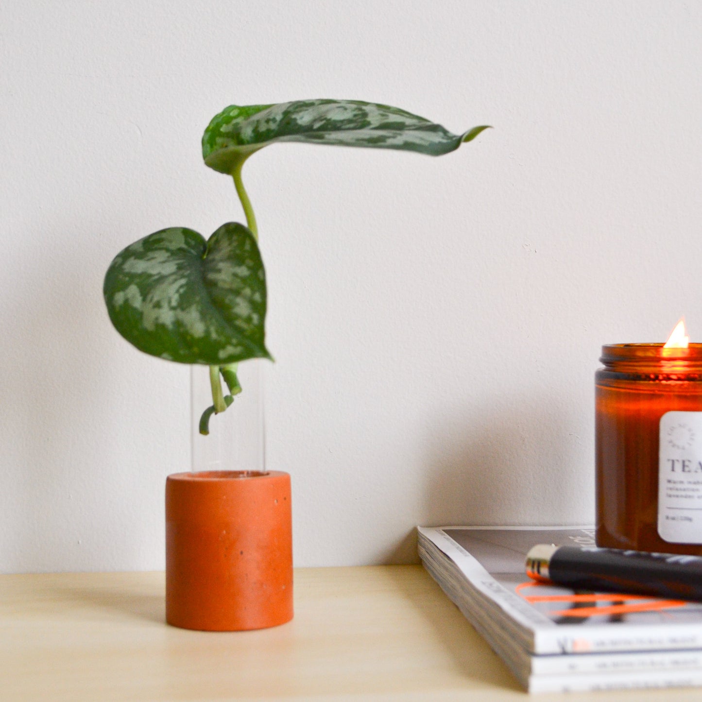 Solid Color Propagation Vase