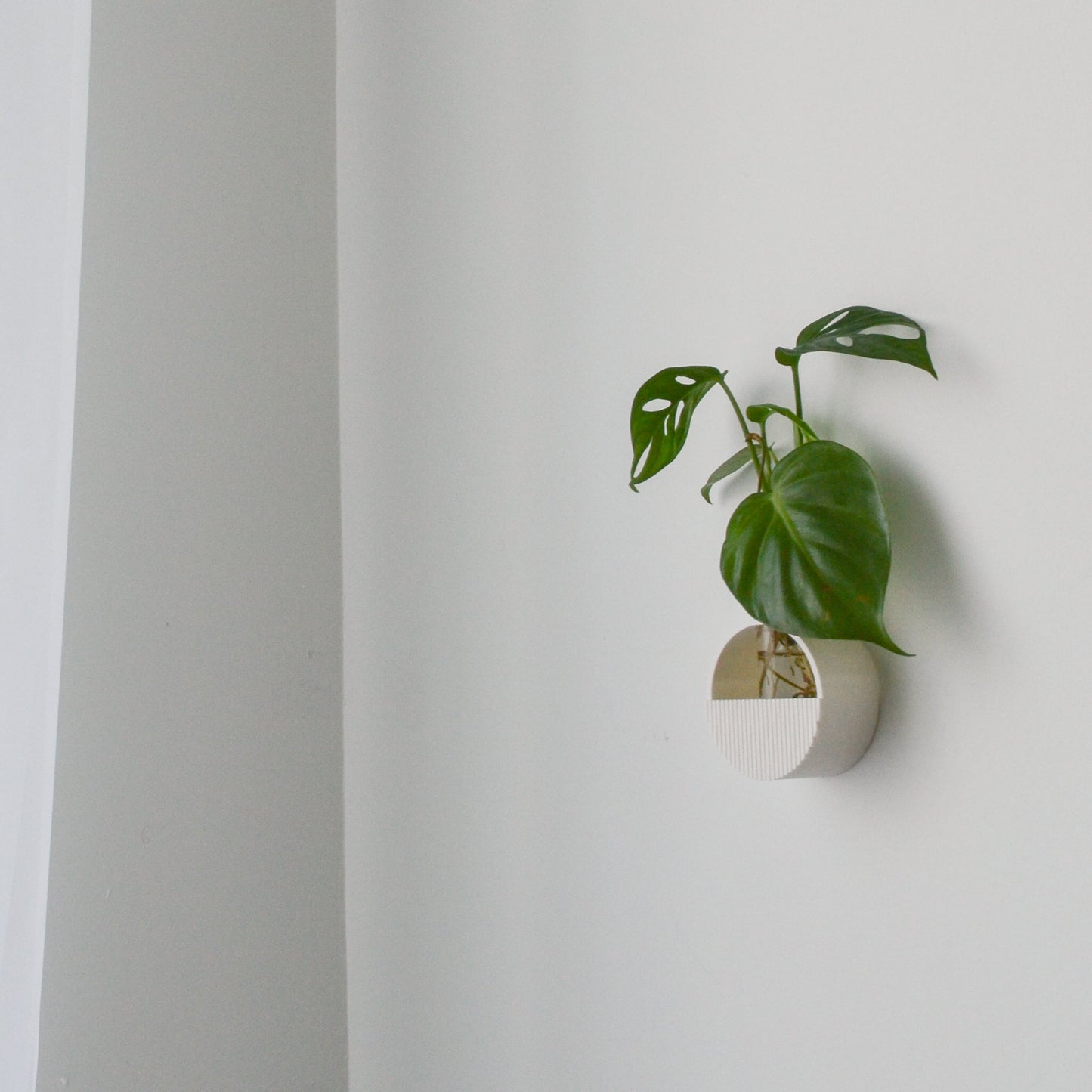 Round Wall hanging Propagation Vase