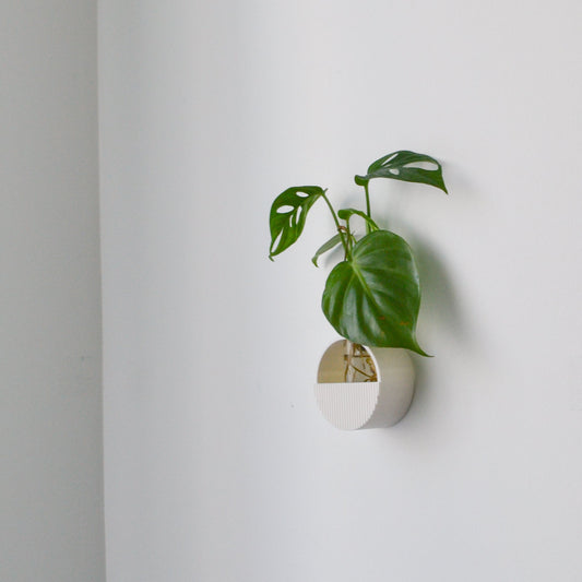Round Wall hanging Propagation Vase