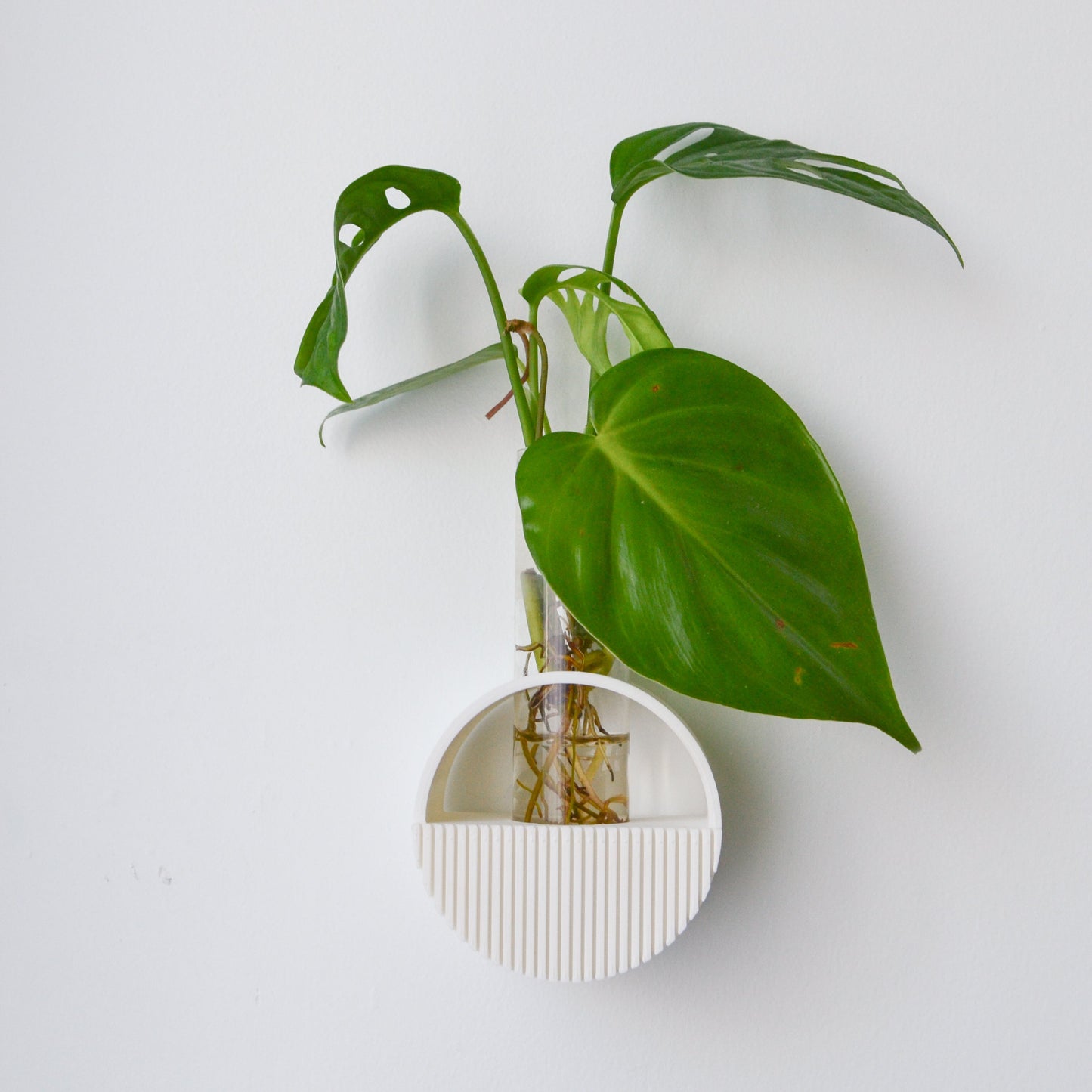Round Wall hanging Propagation Vase