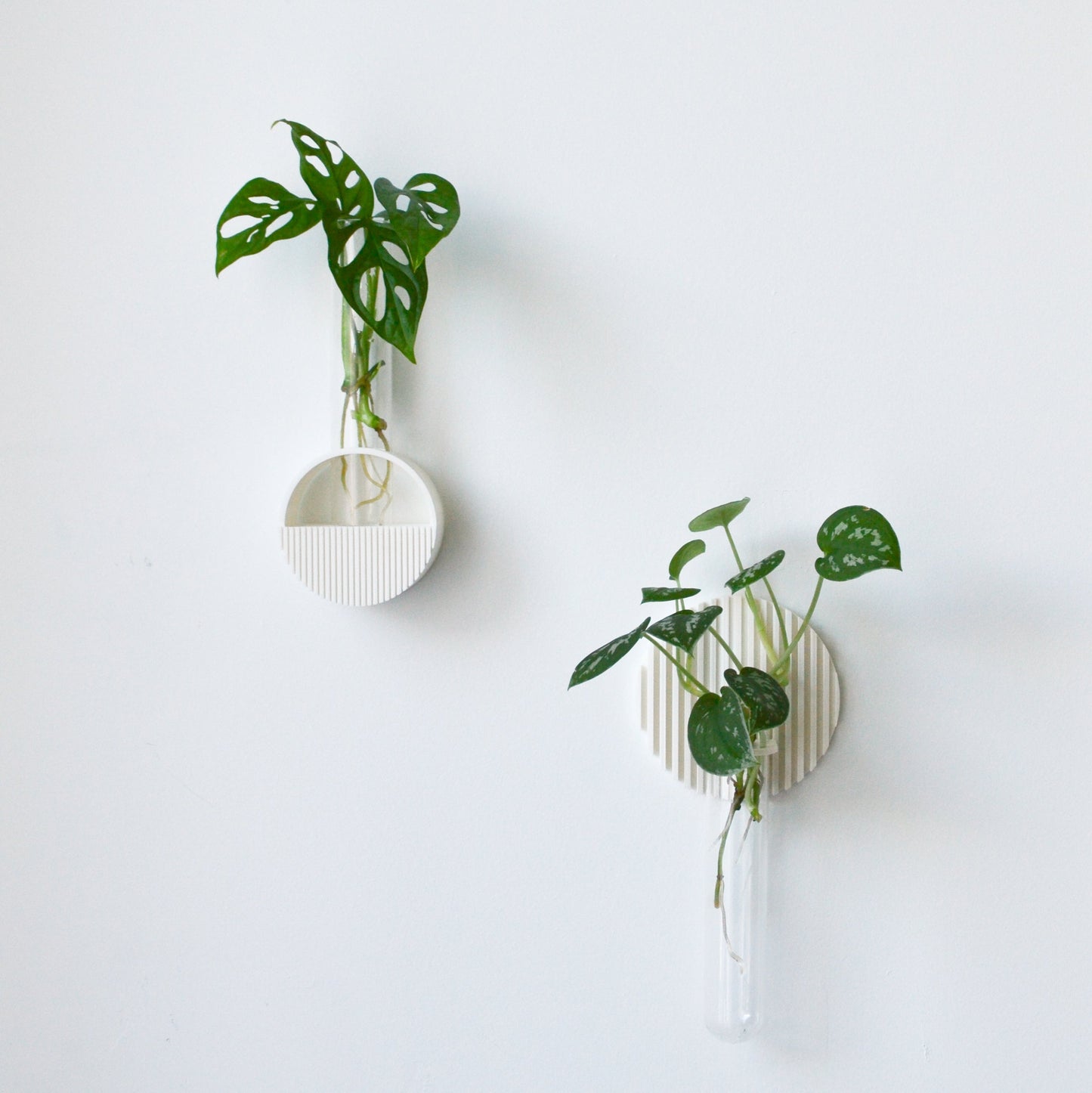 Textured Ridge Wall hanging Propagation Vase