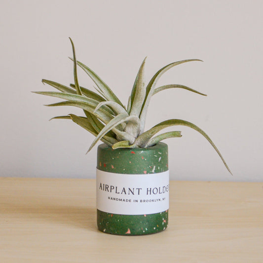 Zero Waste Airplant Holder