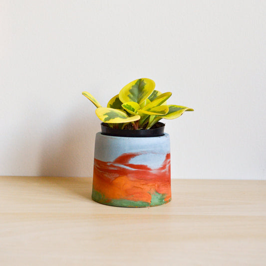 Watercolor Planter