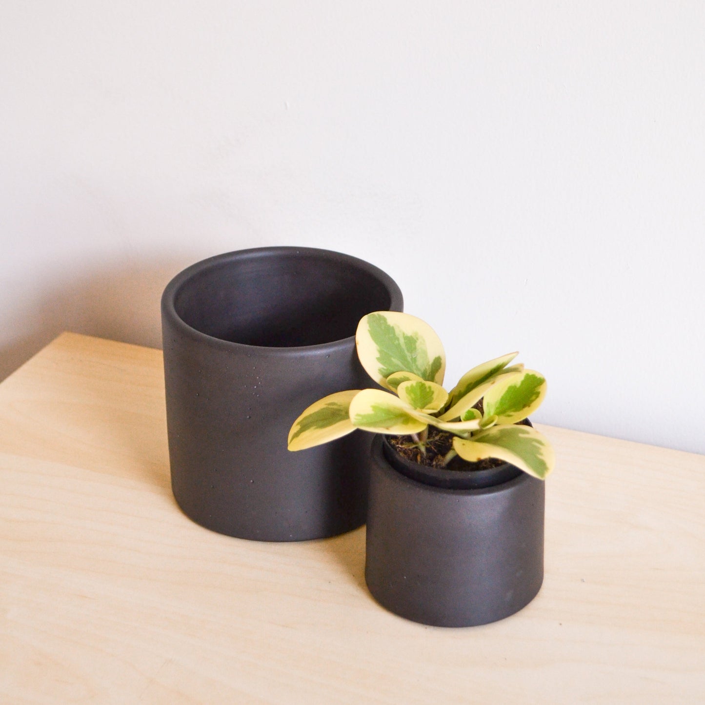 Solid Color Concrete Planter
