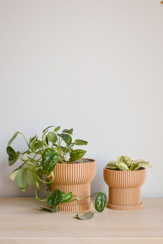 Japandi Ridged Planter
