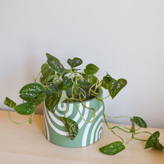 Hand-painted Mint Green Rainbow Planter
