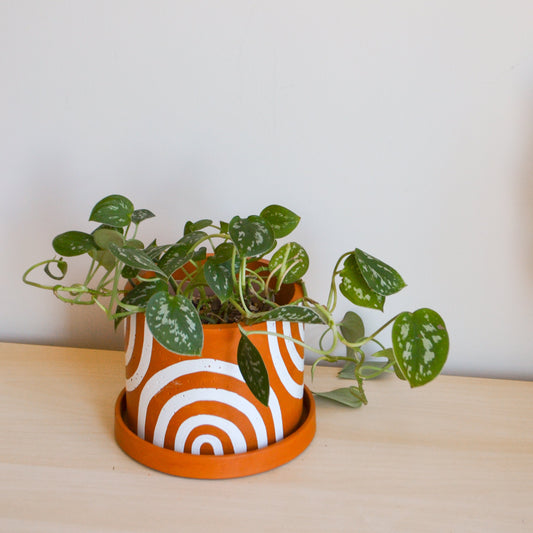 Hand-painted Terracotta Rainbow Planter