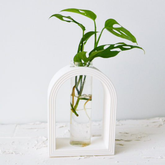 Arch Rainbow Propagation Vase