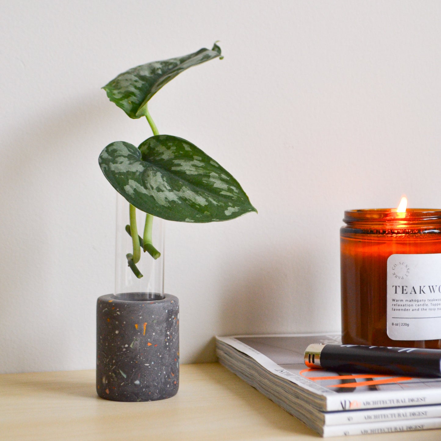 Zero Waste Propagation Vase