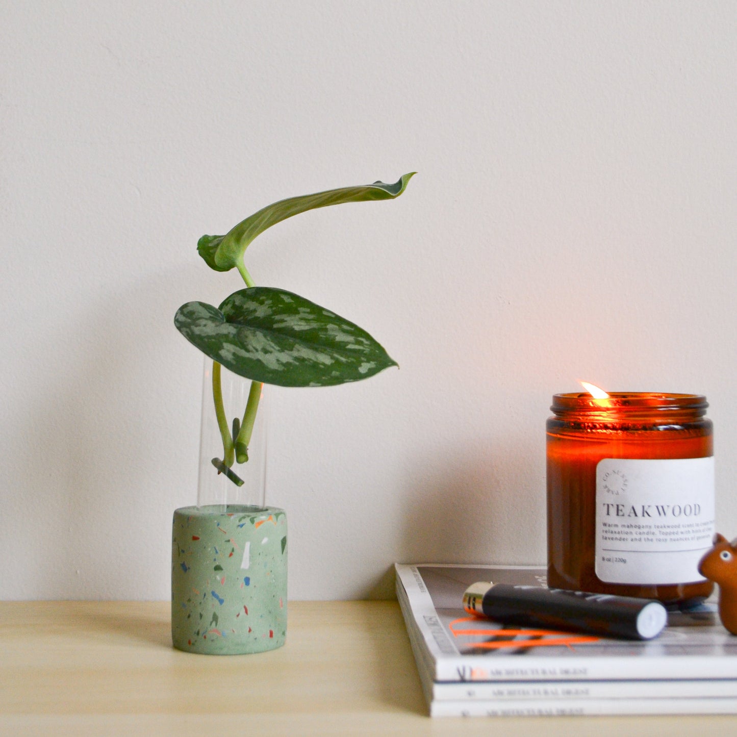 Zero Waste Propagation Vase
