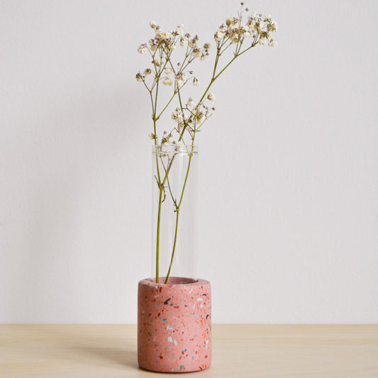 Zero Waste Propagation Vase
