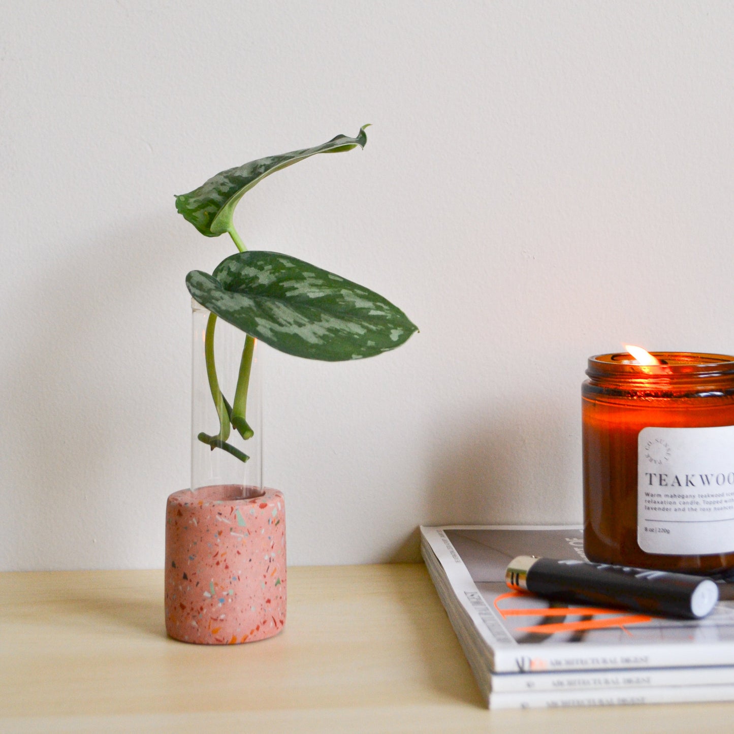 Zero Waste Propagation Vase
