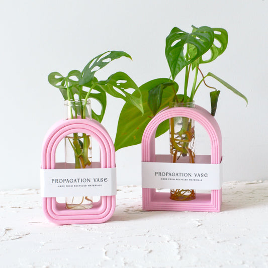 Bubble Arch Propagation Vase