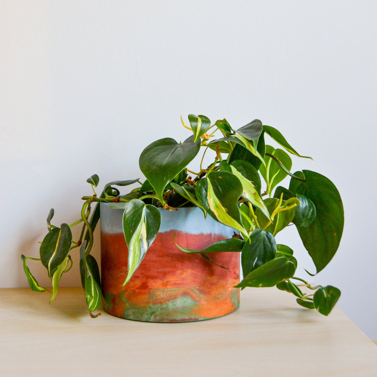 rainbow concrete planter