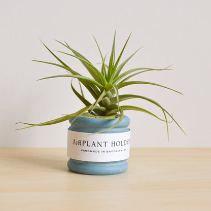 Bubble Airplant Holder