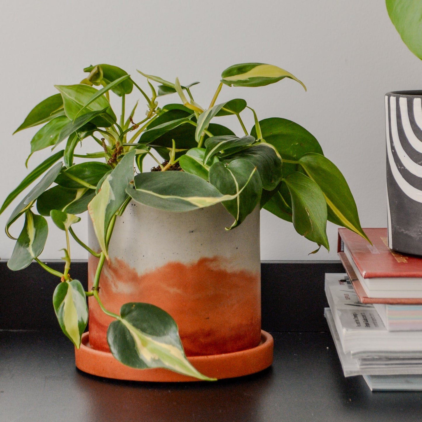 Sunset Watercolor Planter - Featured in Only Murders in the Building
