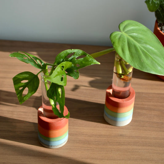 Rainbow Layered Propagation Vase