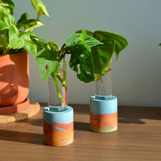 Watercolor rainbow Propagation Vase