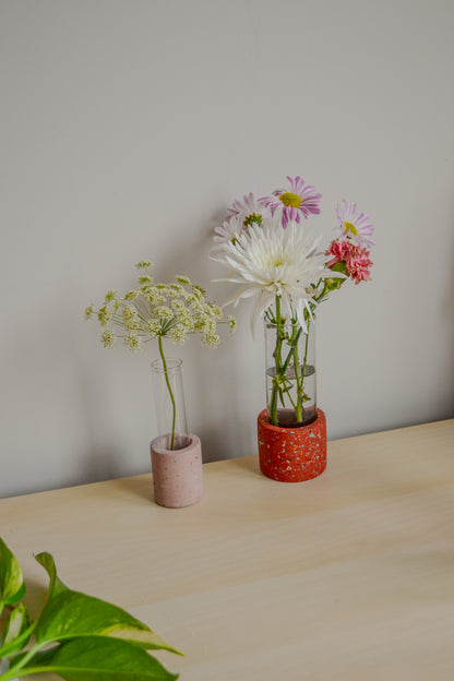 Large Zero Wate Propagation Vase