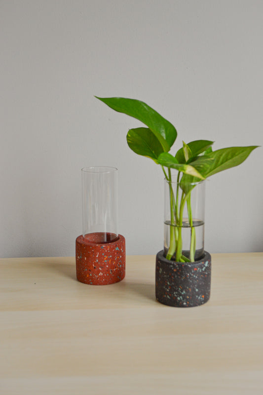 Large Zero Wate Propagation Vase