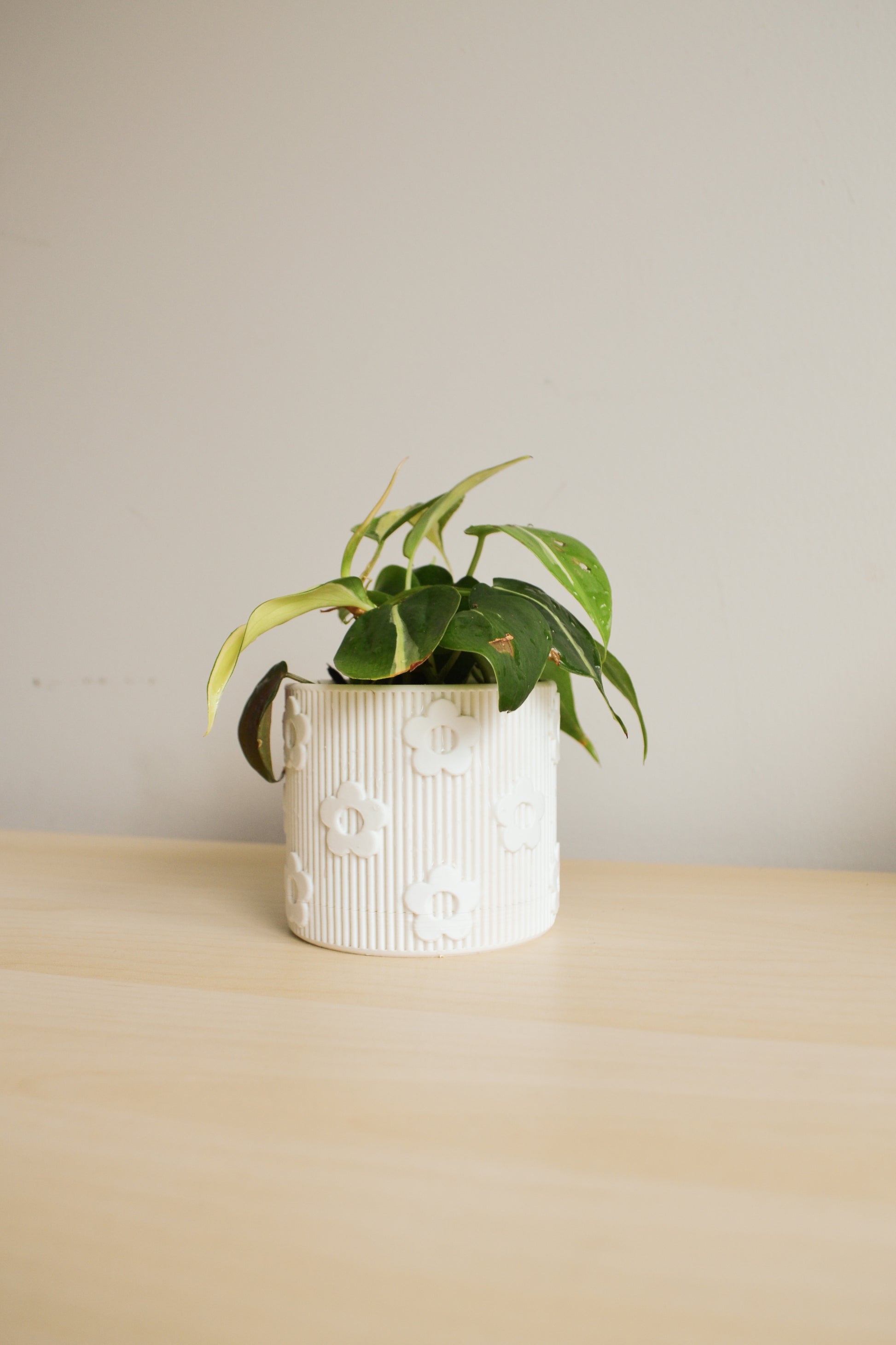 large indoor planter with drainage tray Daisy Planter with Detachable Drainage Tray – LindaMakess