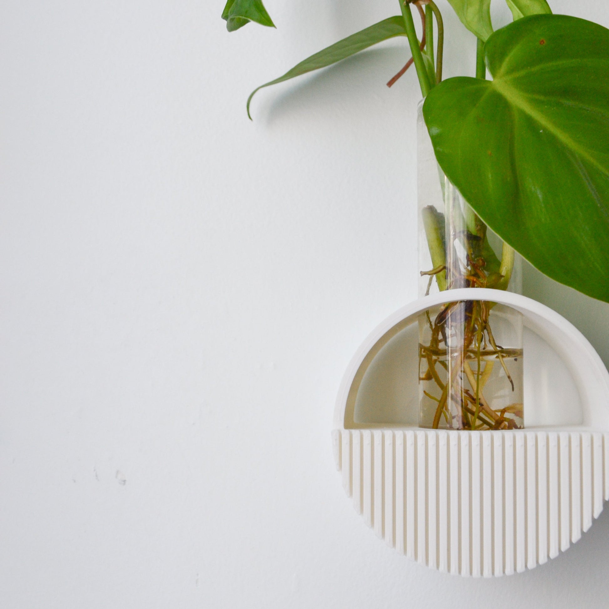 round hanging wall vase planter Round Wall hanging Propagation Vase – LindaMakess