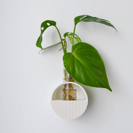 Round Wall hanging Propagation Vase