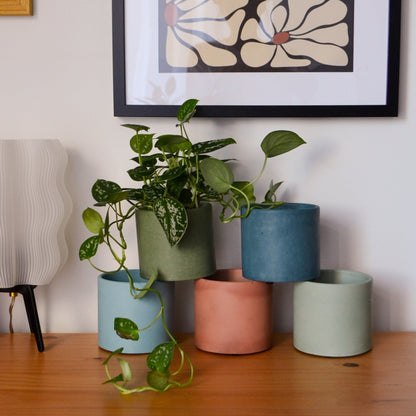 Solid Color Concrete Planter