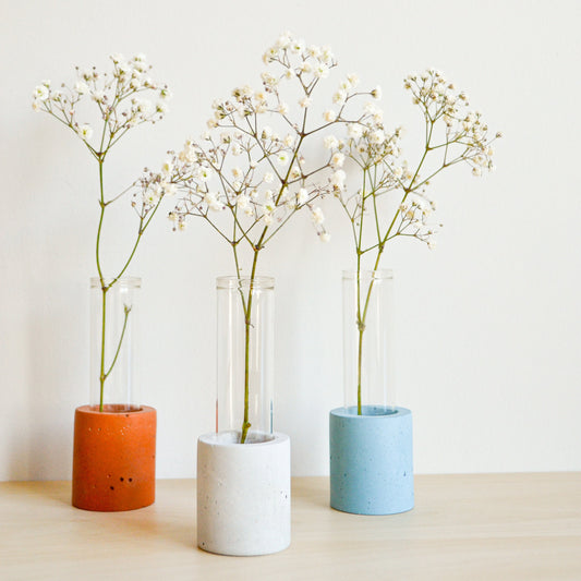 Solid Color Propagation Vase