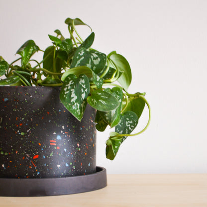 indoor terrazzo planter Zero Waste Terrazzo Planter – LindaMakess