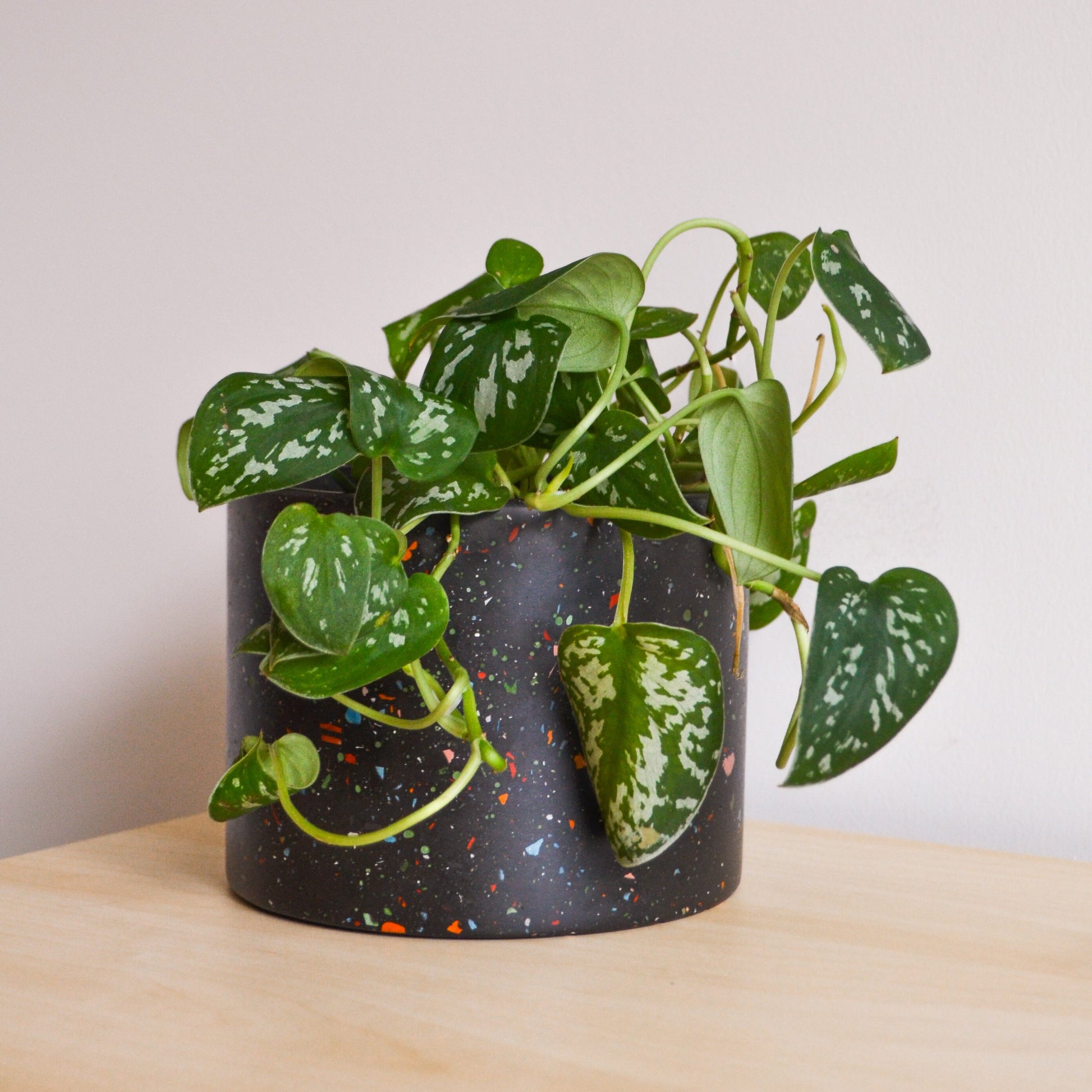 indoor terrazzo planter Zero Waste Terrazzo Planter – LindaMakess