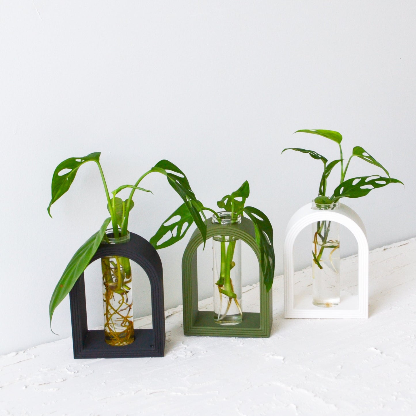 Arch Rainbow Propagation Vase